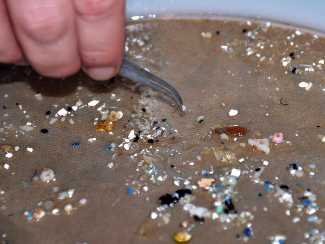 Ocean Plastics and Marine Pollution